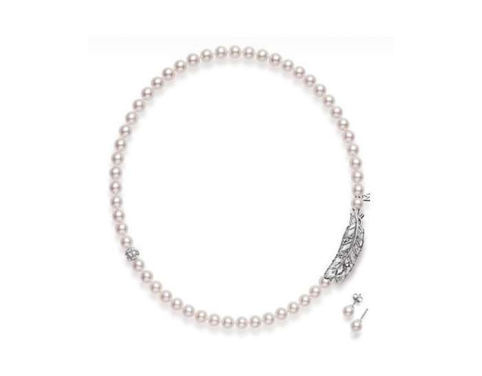 七零八落,七零八落九长齐啥意思