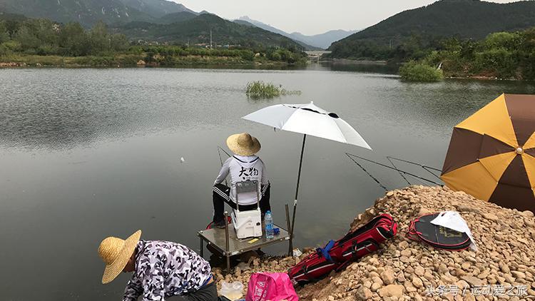 深秋夜钓黑坑鲤鱼用红虫,深秋夜钓鲫鱼可以用红虫吗