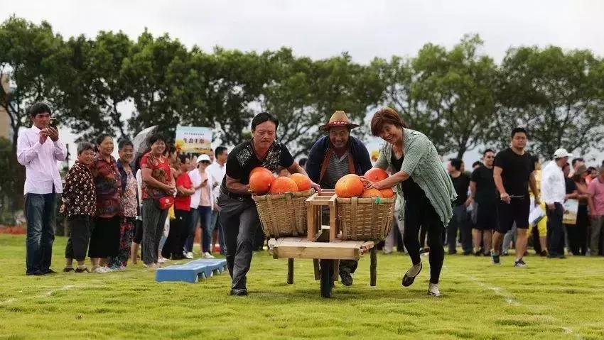 2020农业农村部28个政府补贴项目,国家农业补贴项目明细