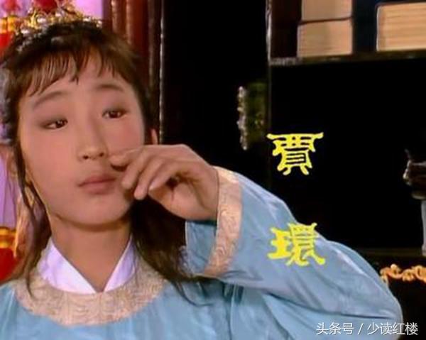 红楼梦里奴才为什么都愿留在贾府 (红楼梦中贾府的大小事)