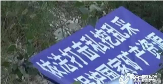 当下石材厂现状,石材加工厂何去何从