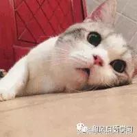 日本主妇家务难题,日本主妇家里干净