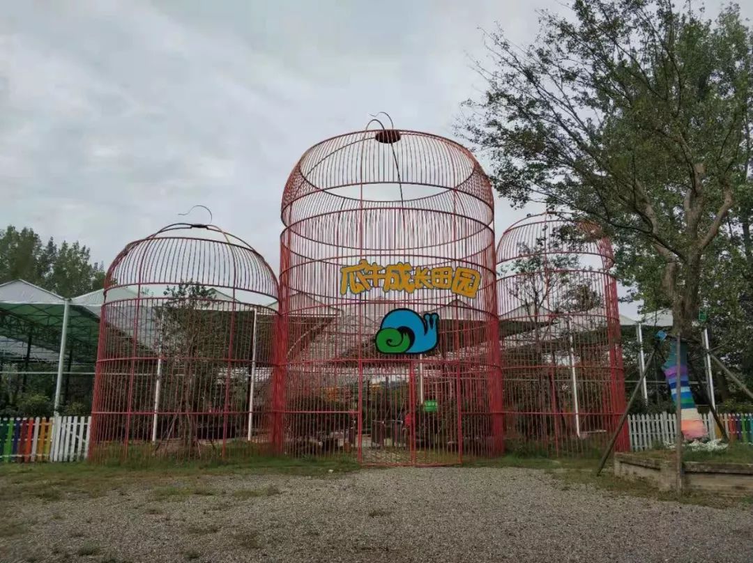 亲子网红庄园,网红亲子农庄在哪里
