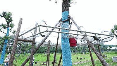 亲子网红庄园,网红亲子农庄在哪里