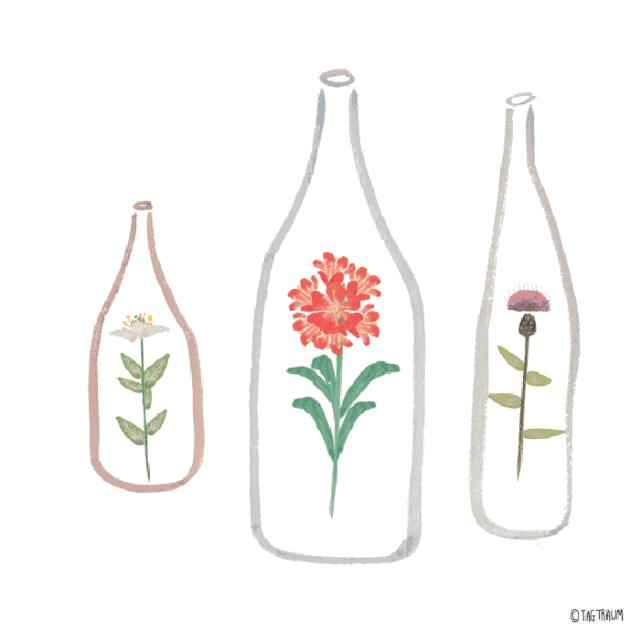 筋长一寸寿延十年瑜伽,瑜伽解剖矢状面与额状面