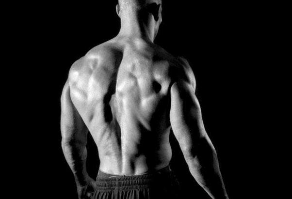 背部练厚好还是背部练薄好,杠铃划船怎样让背部练的更厚