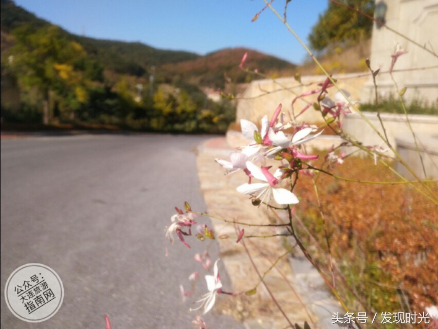 大连高尔夫球场推荐,大连夏丽高尔夫球场