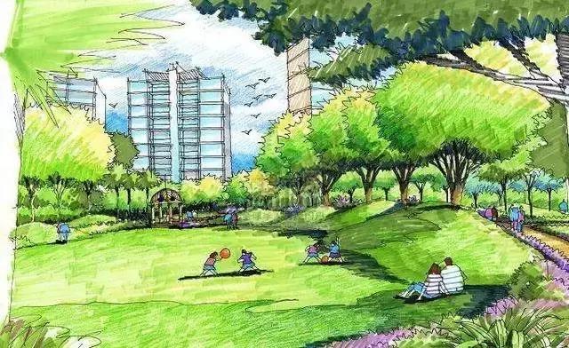 沙坪坝今日关注,沙坪坝人