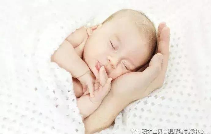 积木宝贝育儿,积木宝贝育儿经