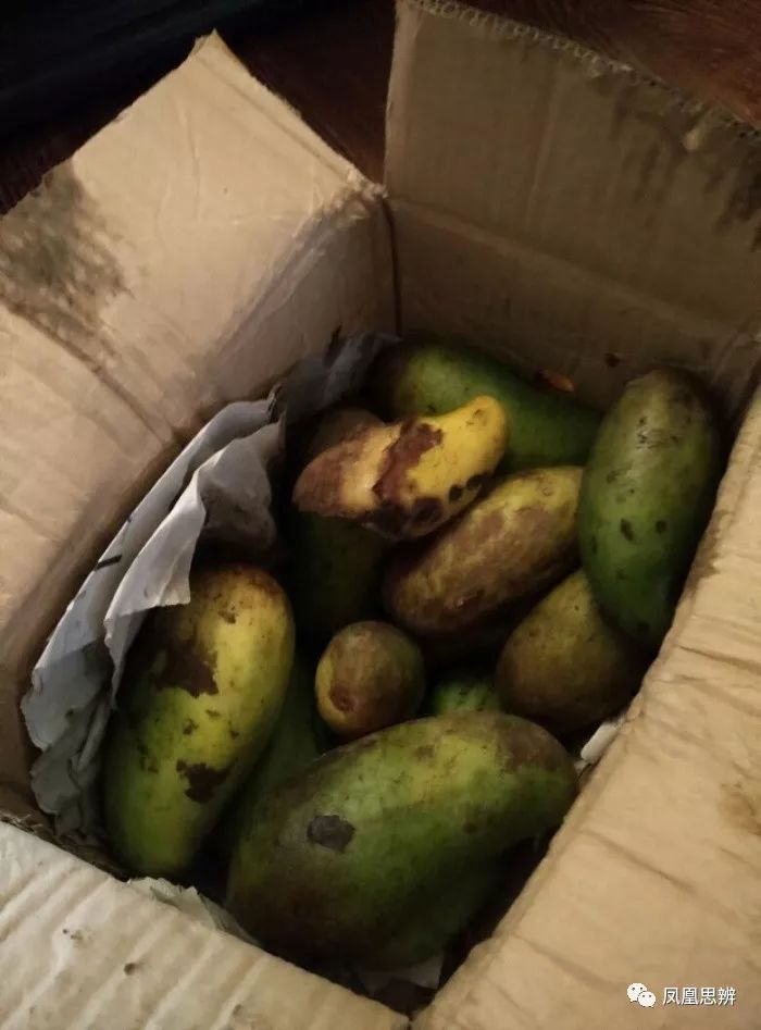 为啥知道是骗局还要入坑,现在的山寨货怎么样了