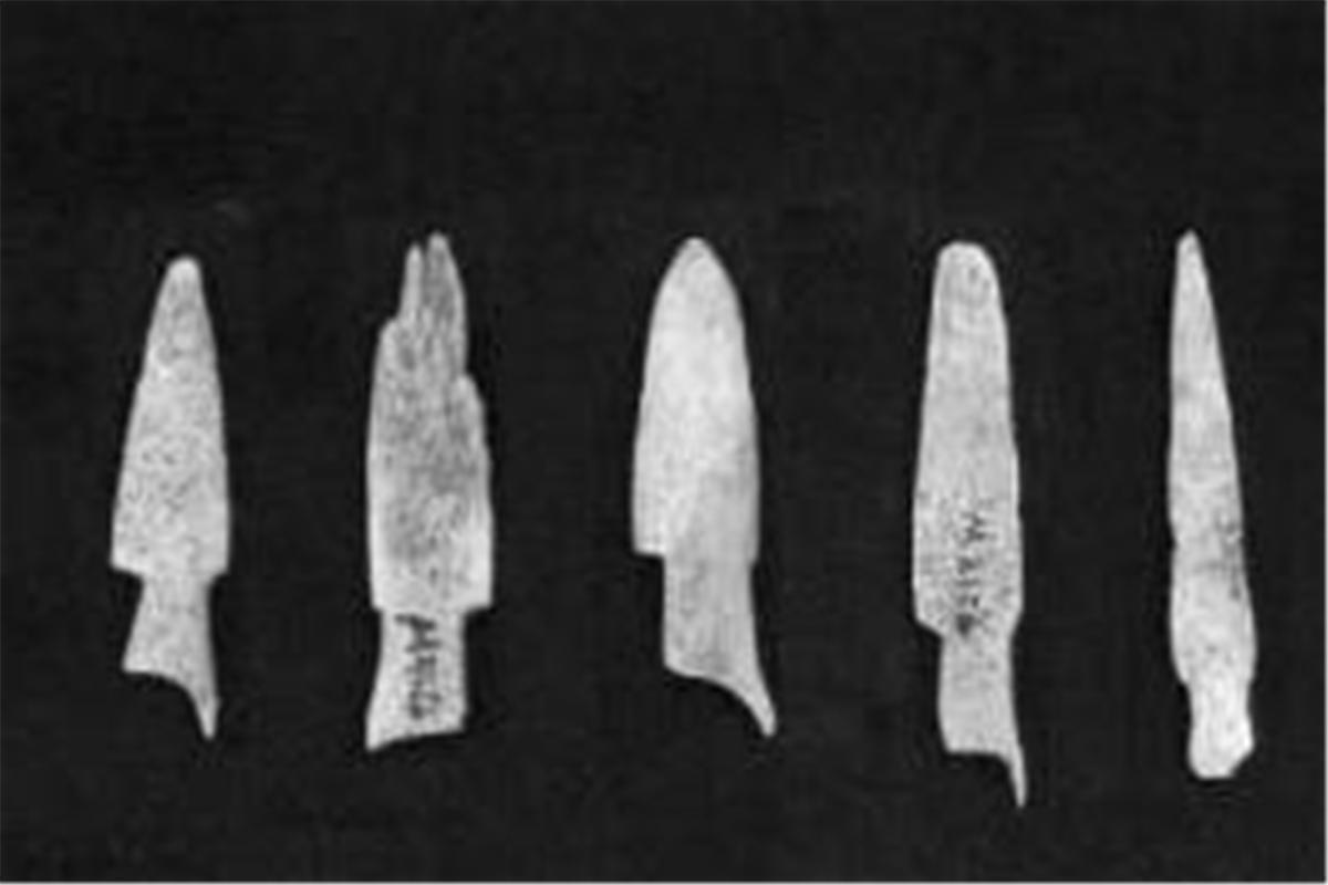 零口姑娘遇害事件,零口姑娘如何死的