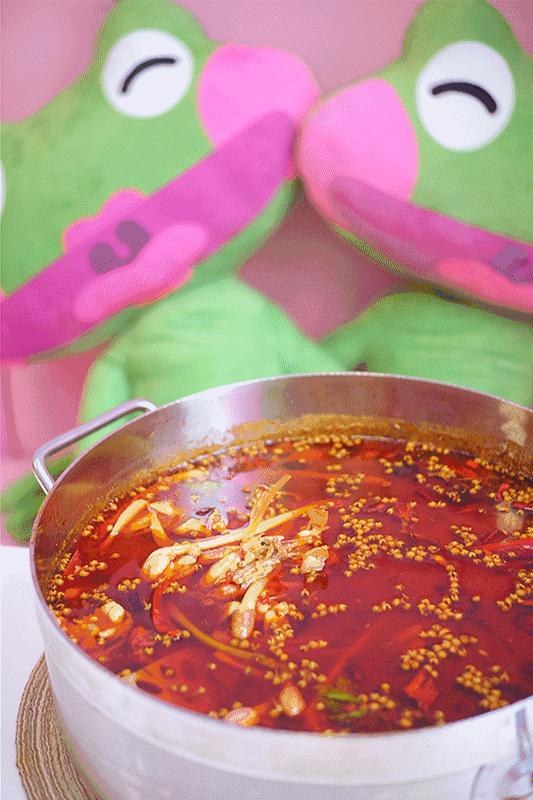 春熙路求婚后来怎么样了,春熙路大熊猫求婚完整版