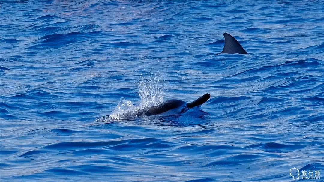 你喜欢什么样的海水,你喜欢什么样的海