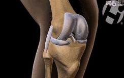 不要等生病了才注重锻炼,不要等到生病了才运动