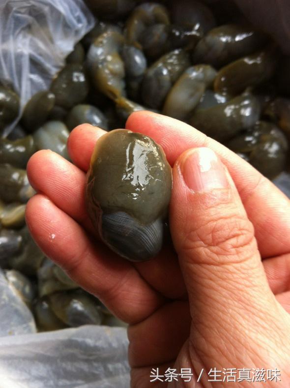 宁波生吃的海鲜有哪些,这6种海鲜好吃又有营养