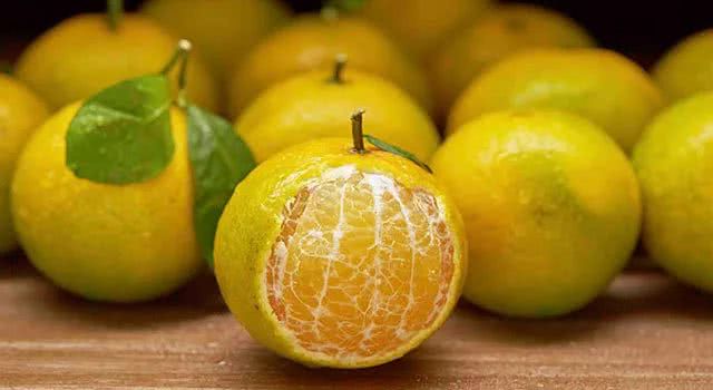 皇帝柑种植户,今年皇帝柑什么时候上市