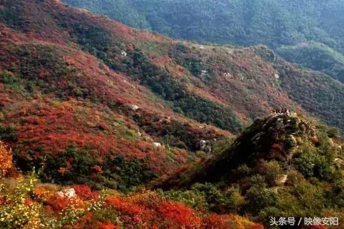 河南红叶最佳观赏时间表,河南看红叶最好的地方