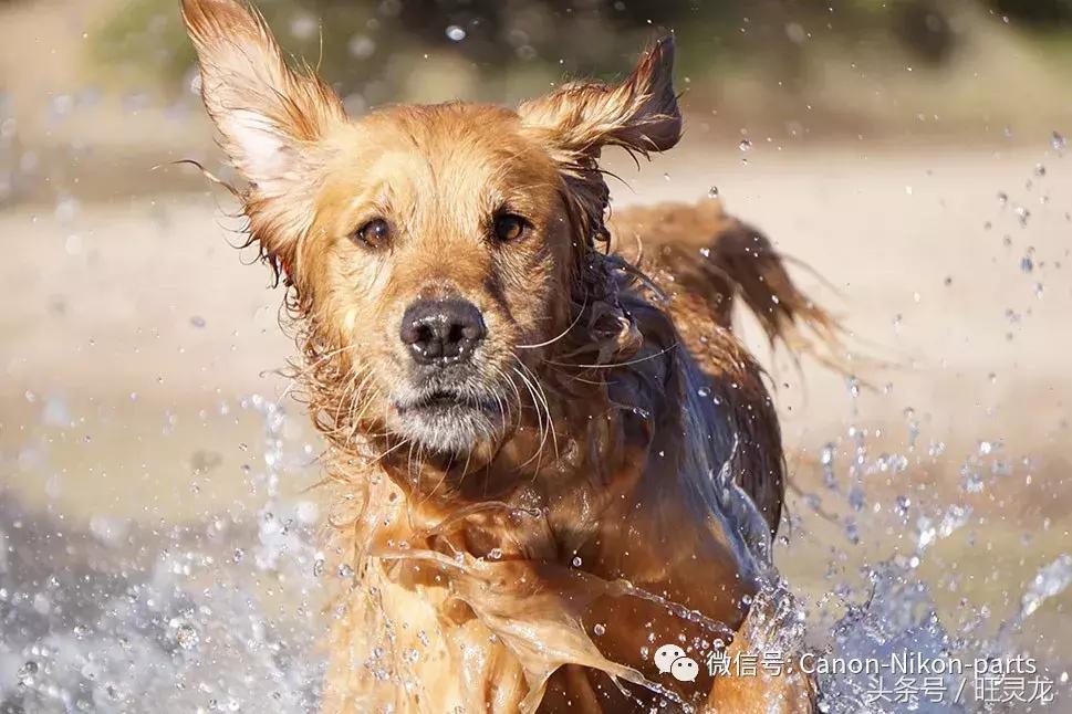 索尼微单a6000调色彩,索尼微单a6000l教程