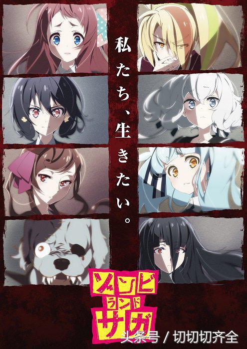 十月新番预览,十月新番在线看