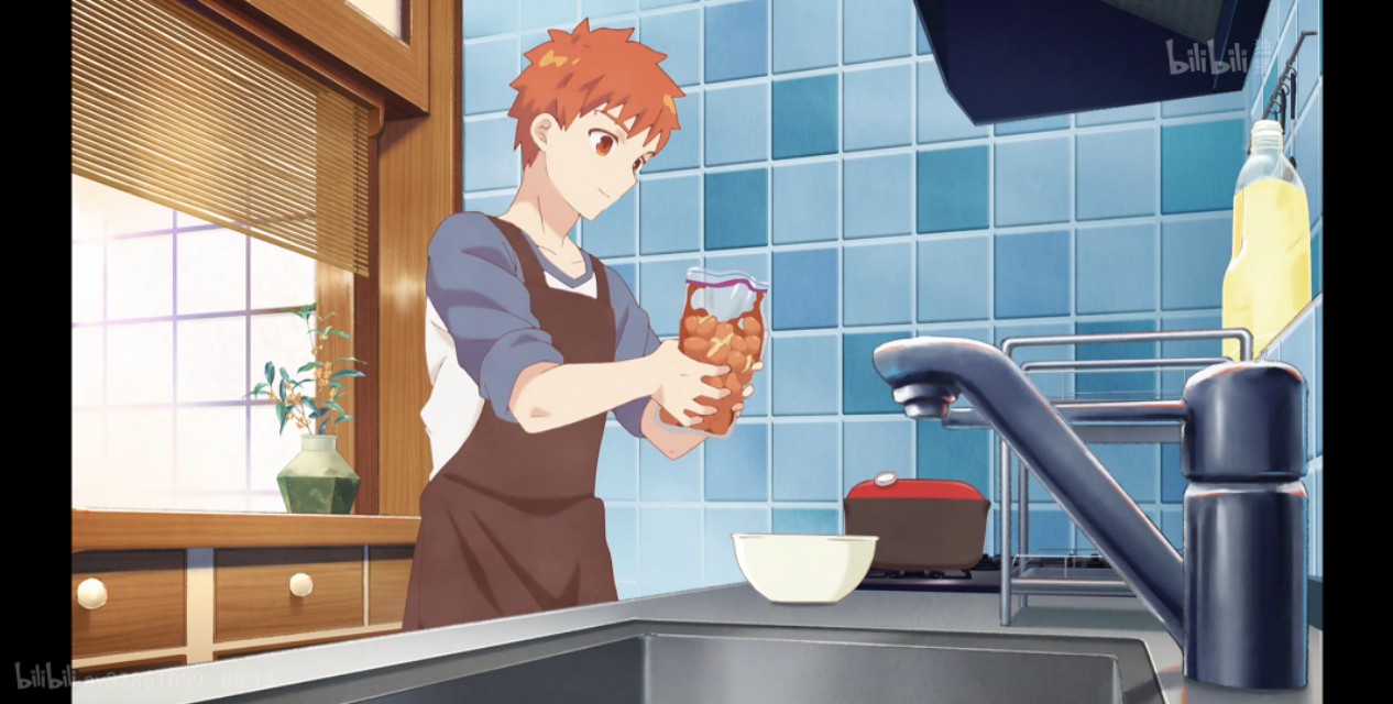 fate卫宫士郎九种形态,fate卫宫士郎最强的形态