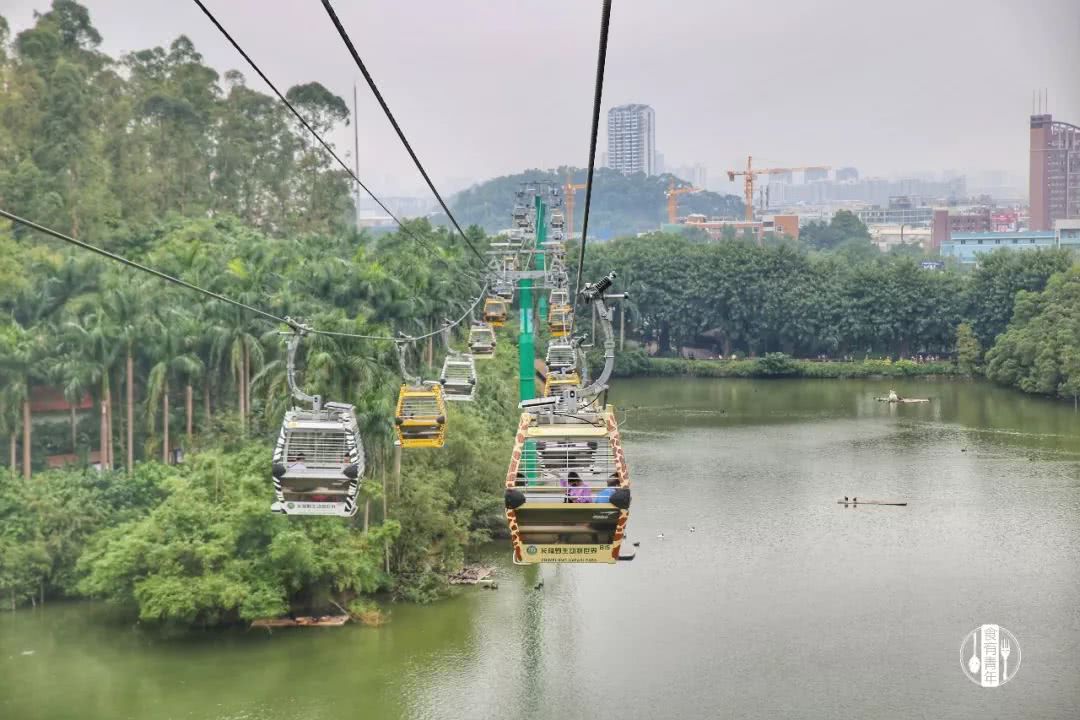 动物园万圣节里面有什么,万圣节动物王国