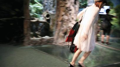 动物园万圣节里面有什么,万圣节动物王国