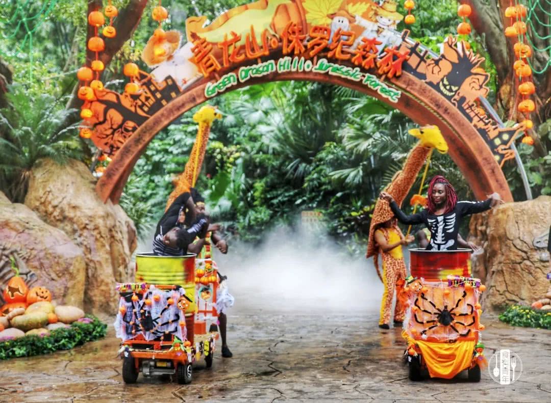 动物园万圣节里面有什么,万圣节动物王国