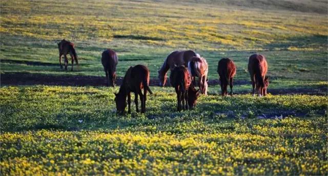 网购新疆为什么不包邮,为什么在网上买东西新疆不包邮