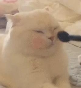 化妆用bb霜还是cc霜,化妆用bb霜还是粉饼好