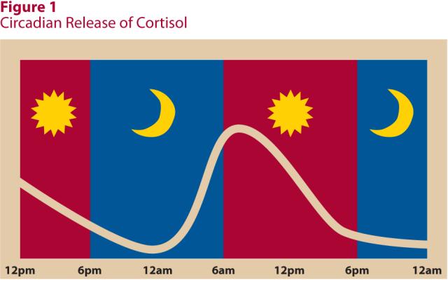 早餐怎么吃才健康早餐的三大禁忌,世界十大最危害早餐