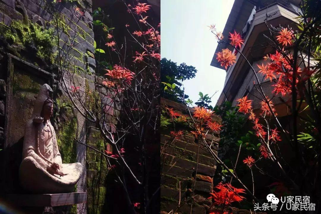 超好看的民宿推荐,值得打卡拍照的民宿