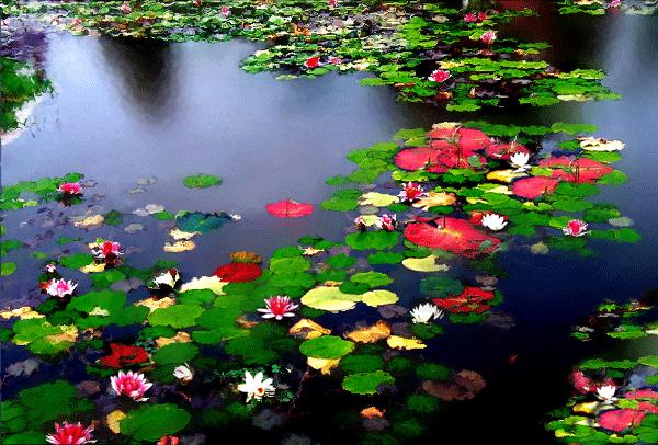 晚上睡不着的时候看看这10句话,送给晚上睡不着觉人的十句话