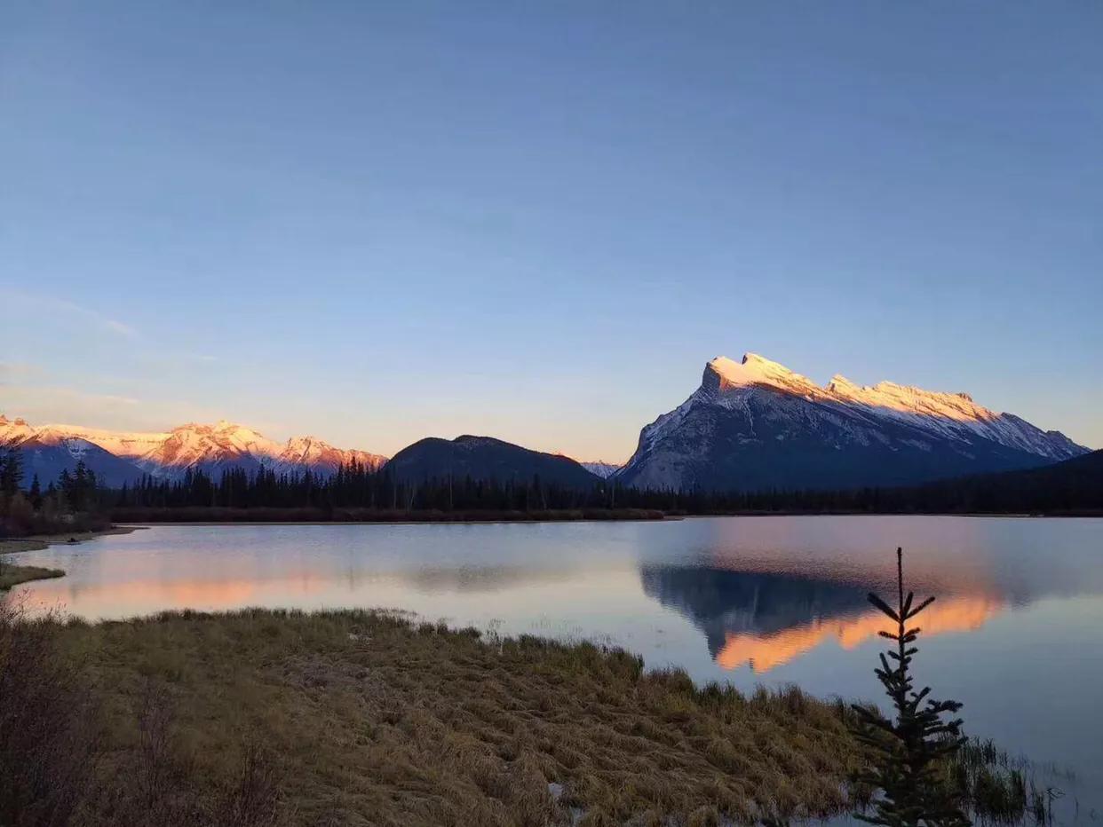 标本溶血对血糖有影响吗,标本溶血会影响血脂的结果吗