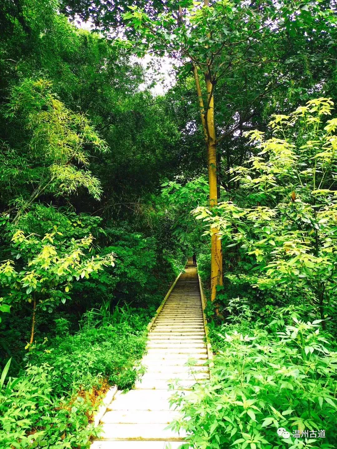瓯海瞿溪风景,远山近水如诗如画