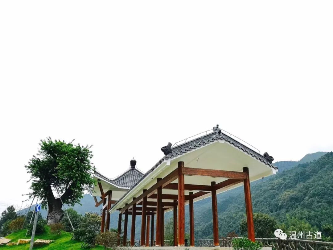 瓯海瞿溪风景,远山近水如诗如画