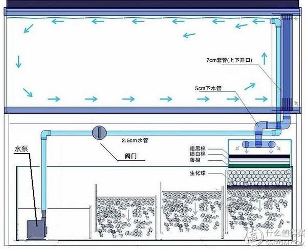 新手养龙鱼开缸及养水步骤,饲养龙鱼要什么缸底放鱼