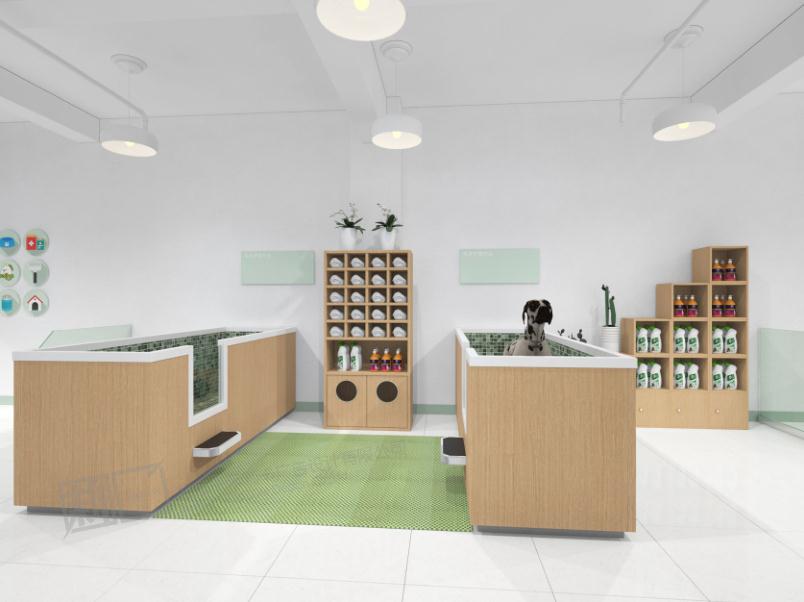 女生开宠物店需要投资多少,宠物店要投资多少钱西安