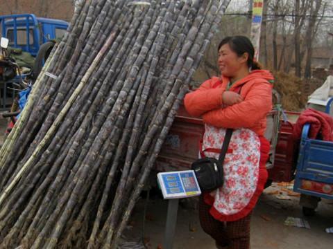方言闹出的笑话：兔子们，虾米们，咸菜太贵，不要酱瓜，要猪蹄