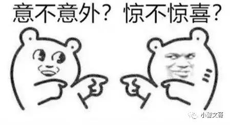 普通野鸡会犯法么,把野鸡弄死会坐牢吗