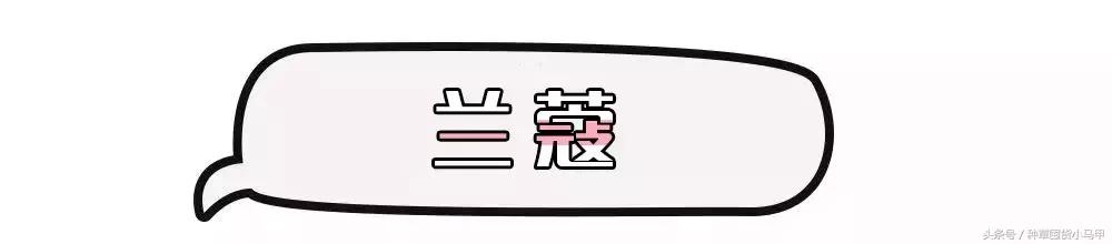 13个大牌圣诞限定再不买就晚了,圣诞节限量版有必要买吗