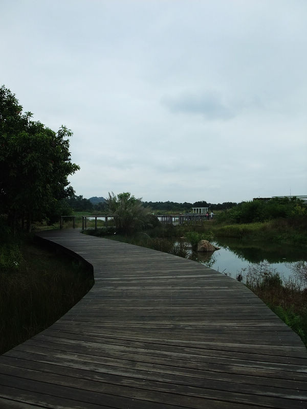 穷驴旅游,港囧游香港