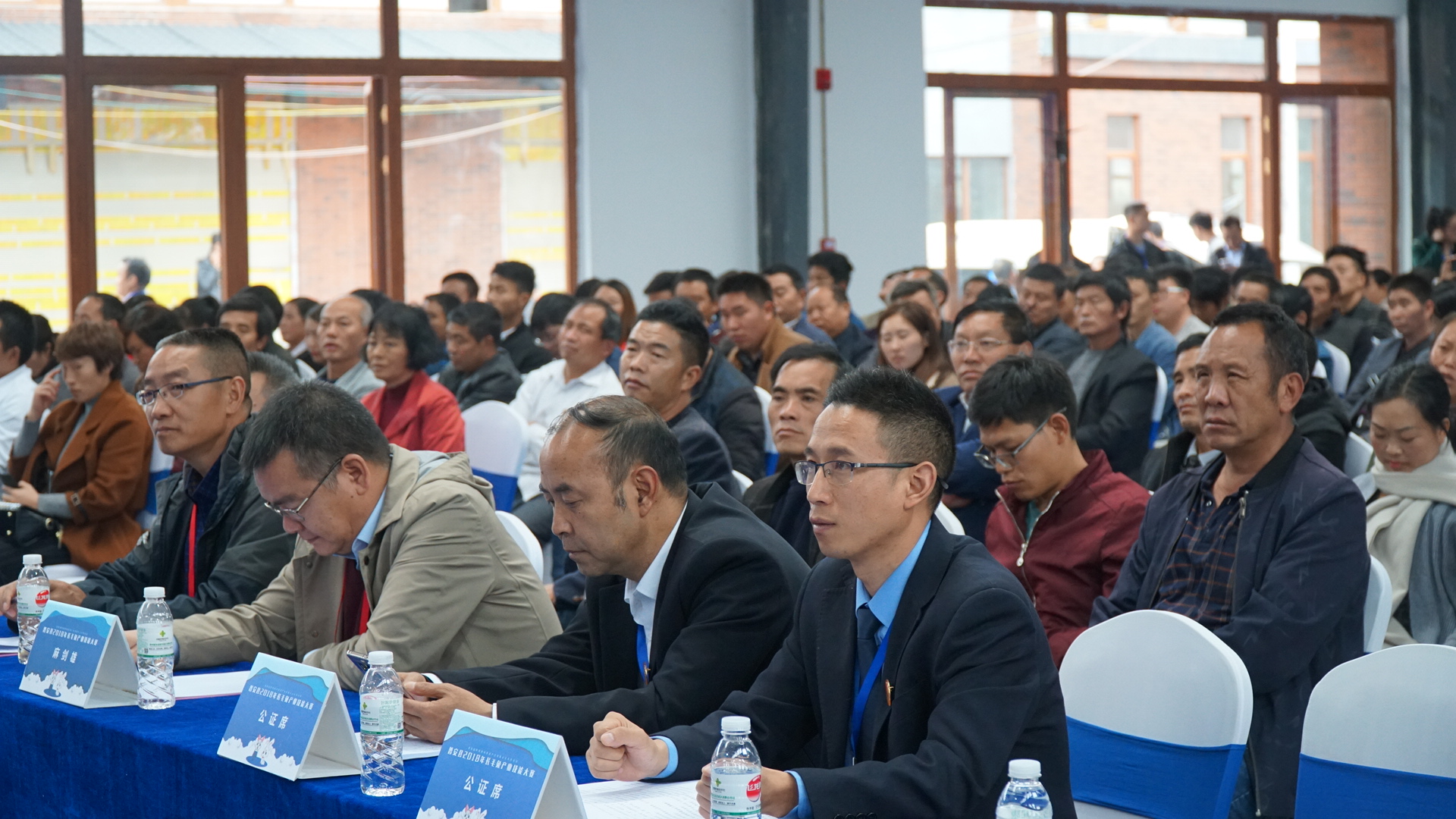 世界茶源地中国普安红,世界茶源黔西南州