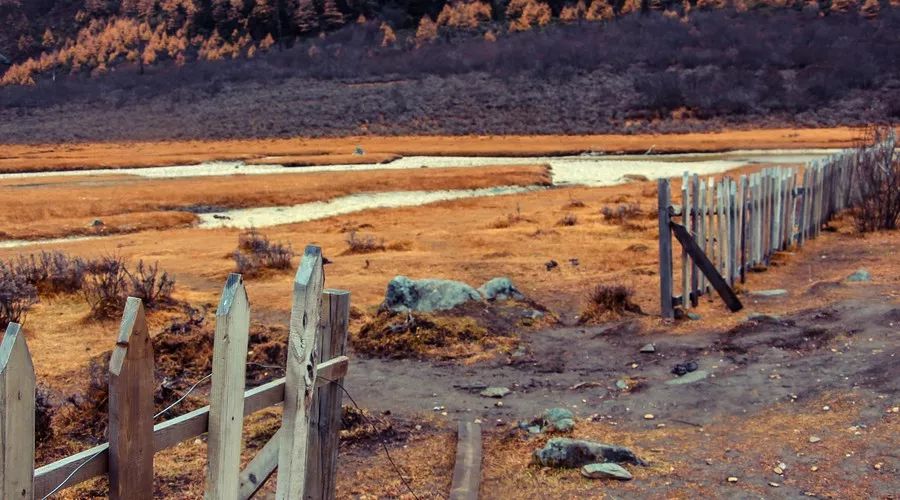 稻城亚丁旅游攻略 (西藏稻城亚丁美景)