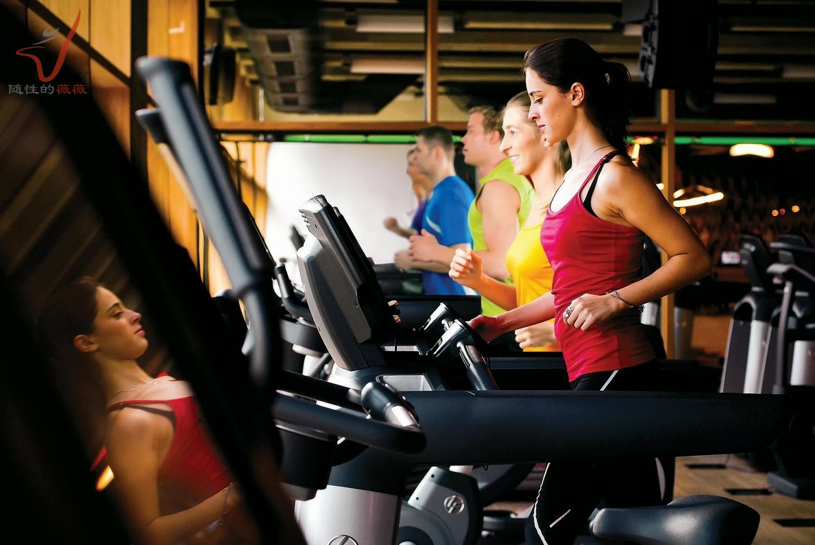 如何快速了解减肥瘦身行业,了解减肥养生正确方法