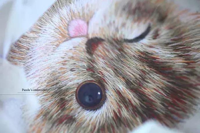 美女用针线“撸猫”，斩获国际大奖，网友惊呼：“这猫要活了！”