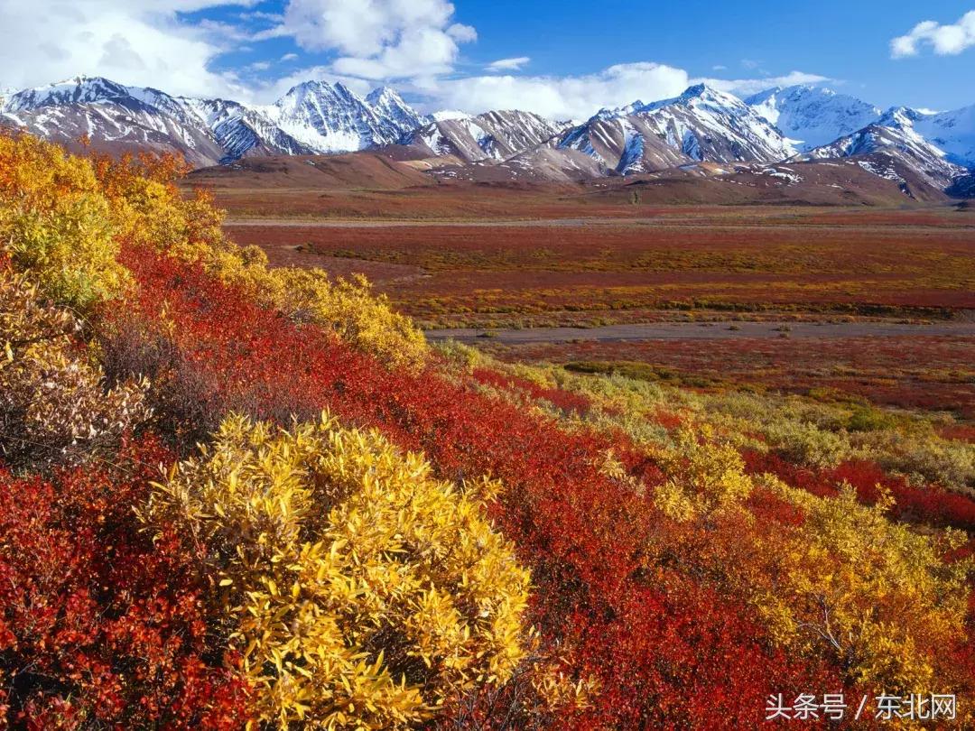 哈尔滨高校打卡,哈尔滨的风向标著名打卡地