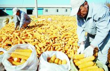 吉林省简介概况大全,吉林省吉林市详细地址