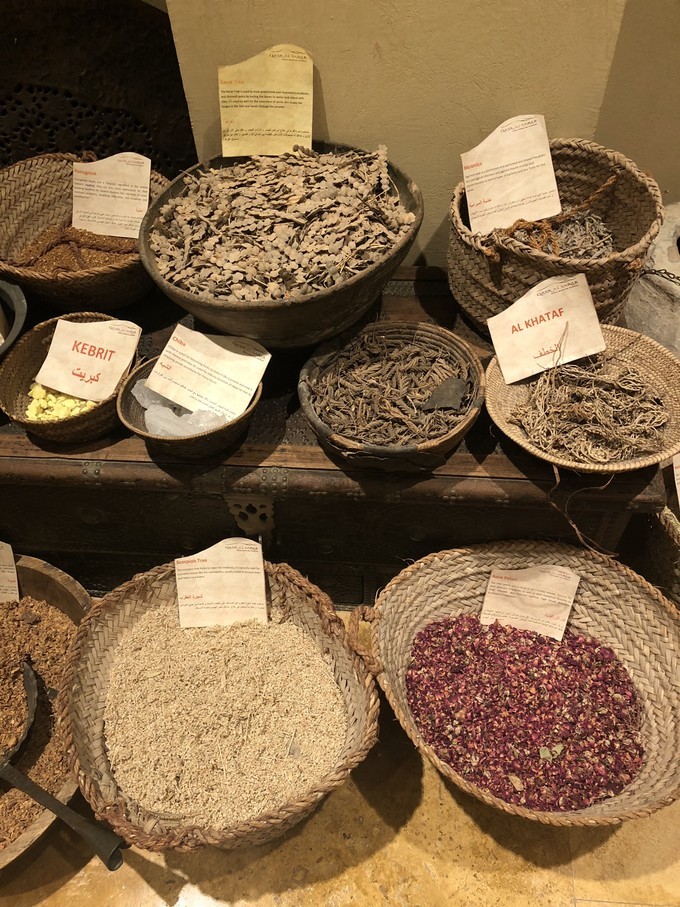 阿联酋沙漠之旅骑着骆驼去旅行,记录一次说走就走的阿联酋迪拜游