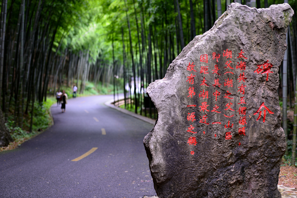 宜兴竹海的风景,推荐一个好的地方宜兴竹海