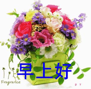 珍惜朋友的句子暖心早上好,人生短暂珍惜时光开心快乐每一天